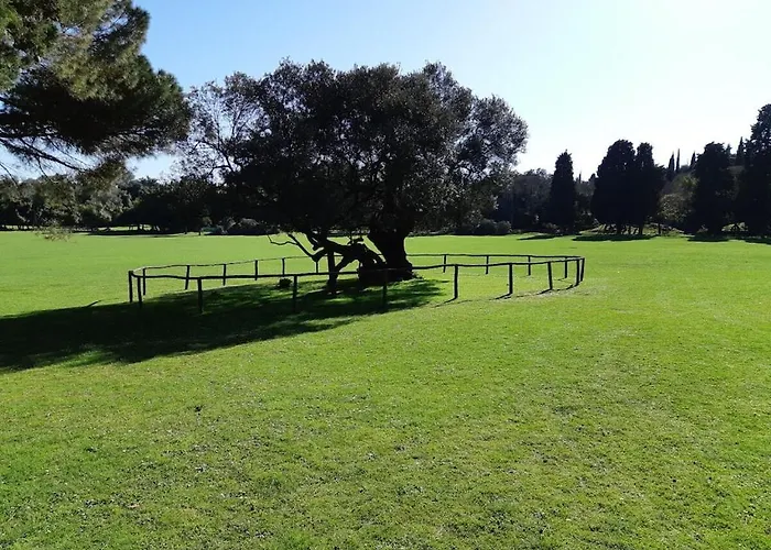 Kascuni A5 Dom wakacyjny